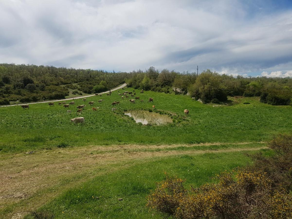 Santuari De La Salut De Sant Felíu de Pallarols Екстериор снимка