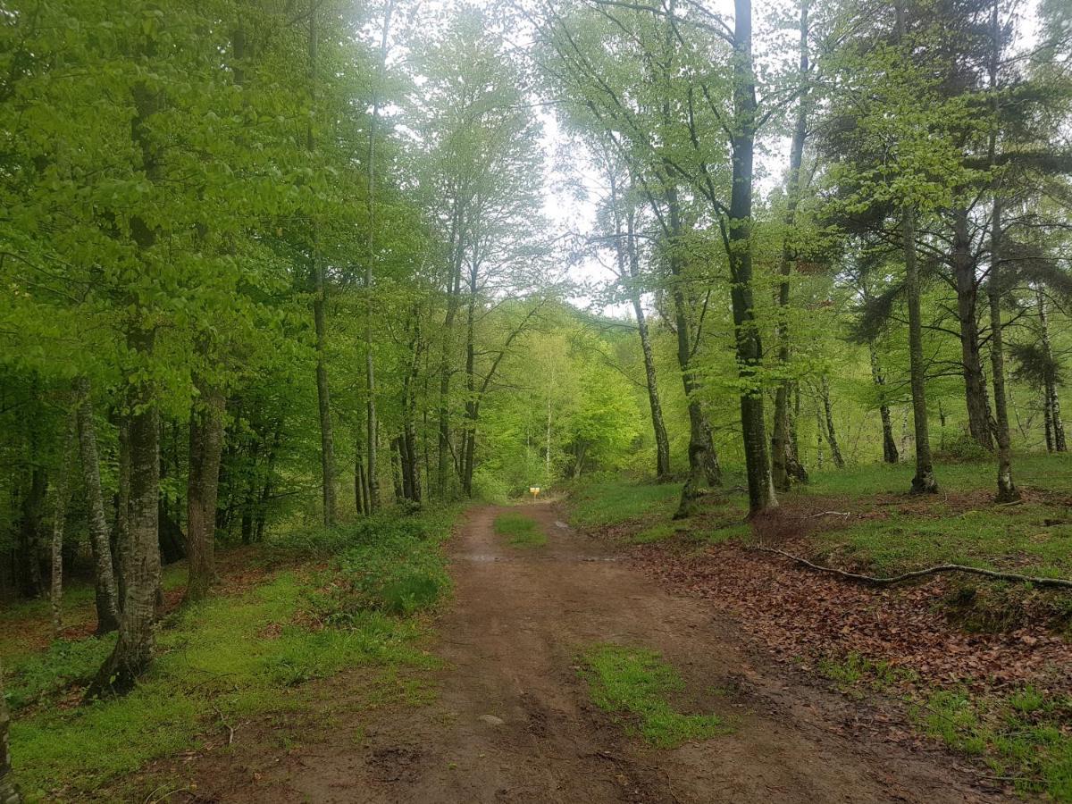 Santuari De La Salut De Sant Felíu de Pallarols Екстериор снимка