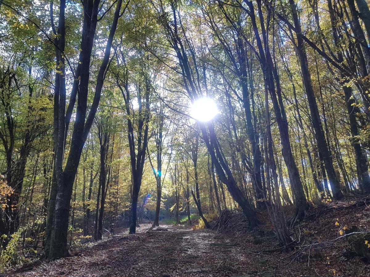 Santuari De La Salut De Sant Felíu de Pallarols Екстериор снимка